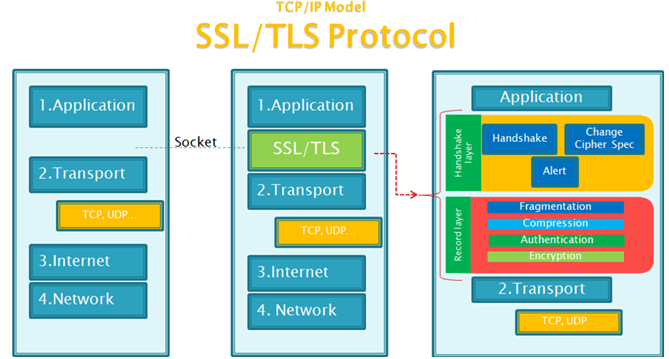 SSL/TLS